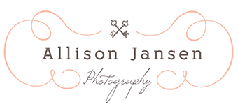 Allison Jansen Wedding Photography